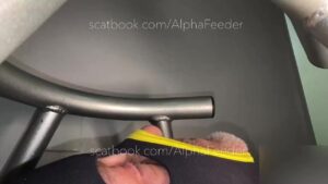 Free Scat Porn