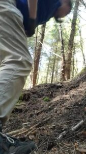 Free Scat Porn