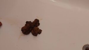 Free Scat Porn