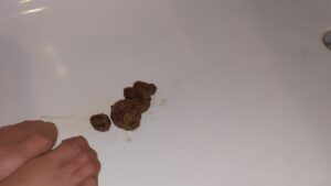 Free Scat Porn
