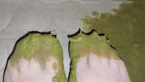 Free Scat Porn