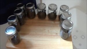 Free Scat Porn