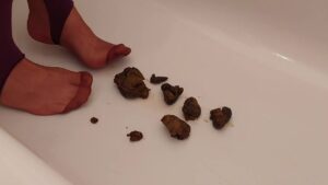 Free Scat Porn