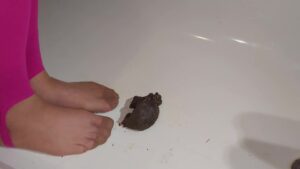 Free Scat Porn