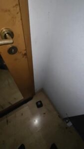 Free Scat Porn
