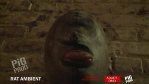 Free Scat Porn