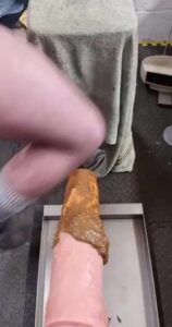 Free Scat Porn