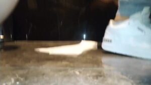 Free Scat Porn