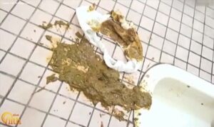 Free Scat Porn