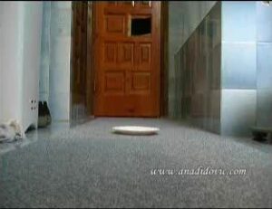 Free Scat Porn