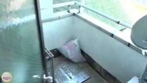 Free Scat Porn