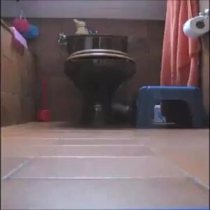 Free Scat Porn