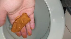 Free Scat Porn