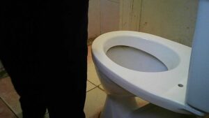 Free Scat Porn
