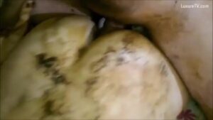 Free Scat Porn