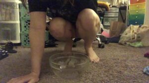 Free Scat Porn
