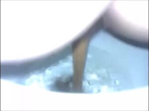 Free Scat Porn