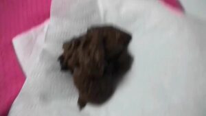 Free Scat Porn