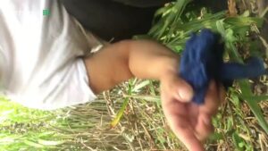 Free Scat Porn