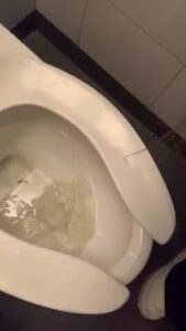 Free Scat Porn