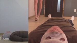 Free Scat Porn
