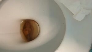 Free Scat Porn