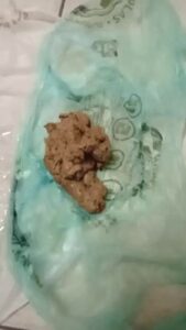 Free Scat Porn