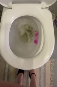 Free Scat Porn