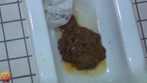 Free Scat Porn
