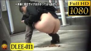 Free Scat Porn