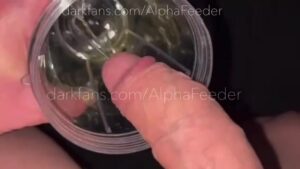Free Scat Porn