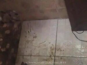 Free Scat Porn