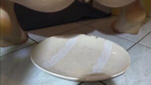 Free Scat Porn