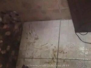 Free Scat Porn