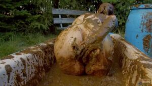 Free Scat Porn