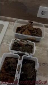 Free Scat Porn