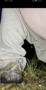 Free Scat Porn