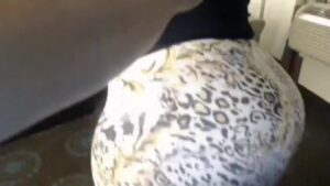 Free Scat Porn