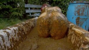 Free Scat Porn