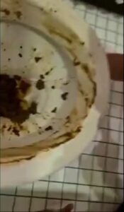 Free Scat Porn