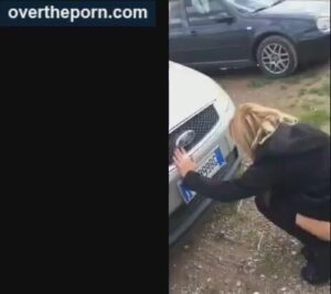 Free Scat Porn