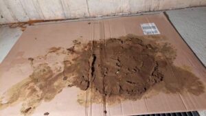 Free Scat Porn