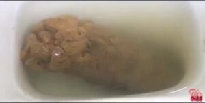 Free Scat Porn