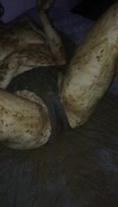 Free Scat Porn