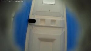 Free Scat Porn