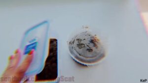 Free Scat Porn