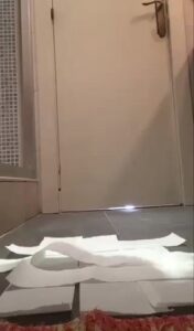 Free Scat Porn
