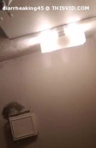 Free Scat Porn
