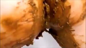 Free Scat Porn
