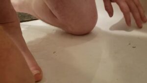 Free Scat Porn